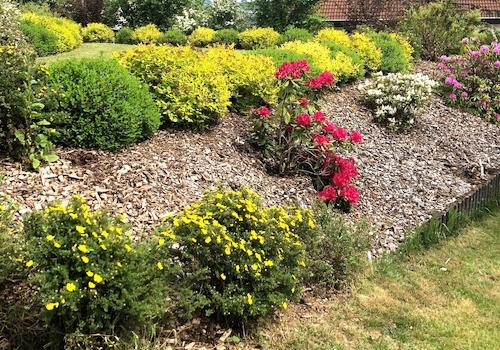 Gartenimpressionen