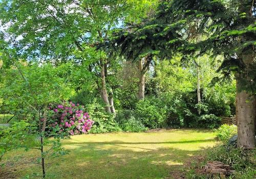 Garten mit Büschen und Bäumen