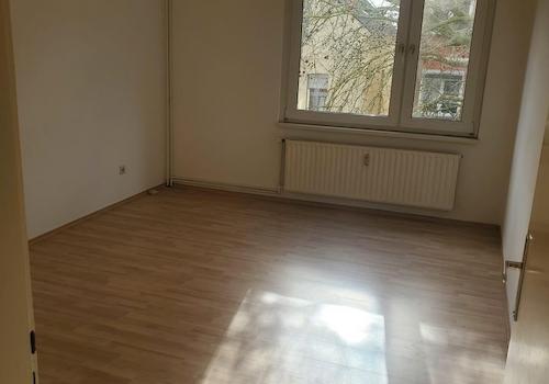Zimmer3