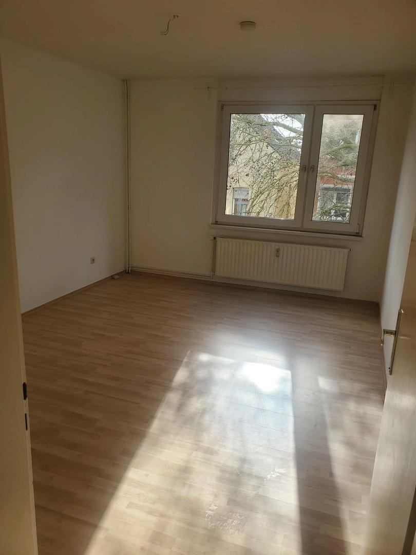 Zimmer3