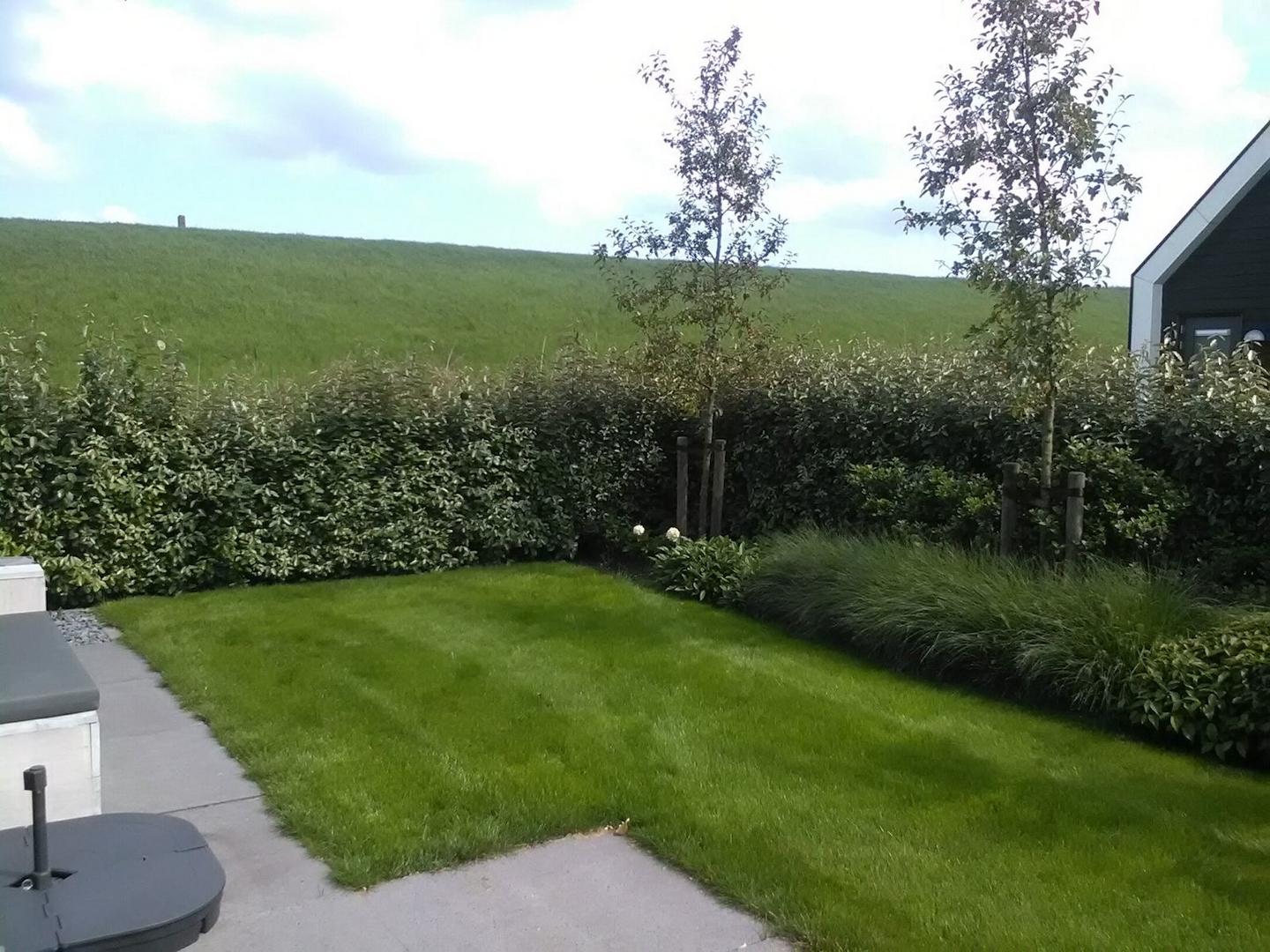 Ferienhaus Zeeland kaufen006