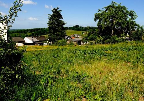 Blick Richtung Eifel