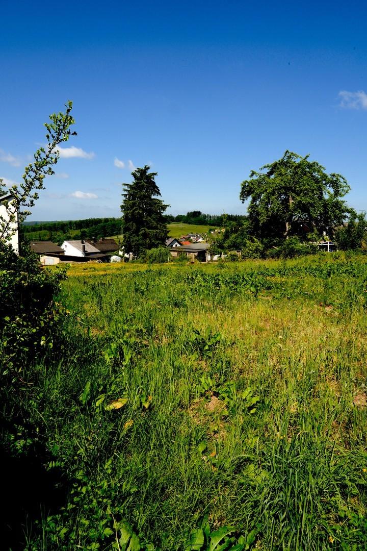 Blick Richtung Eifel
