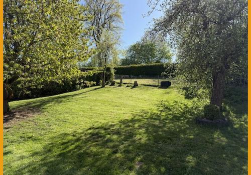 Der Garten