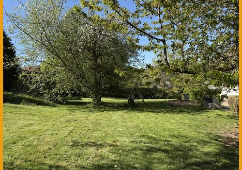 Blick in den Garten