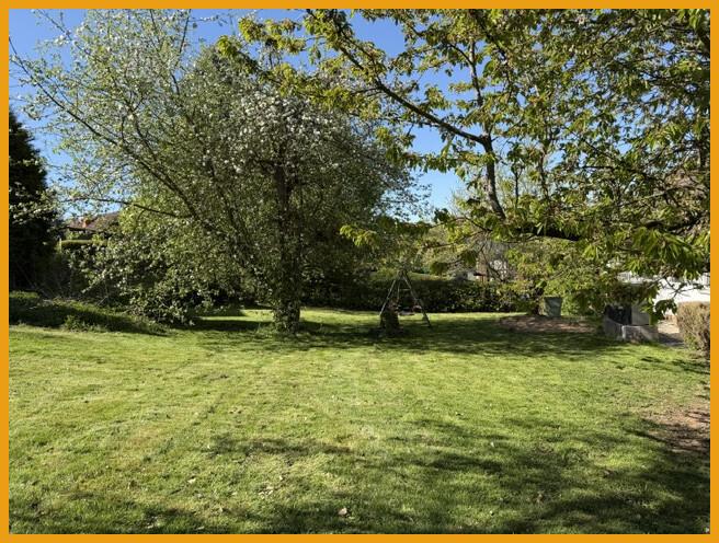 Blick in den Garten