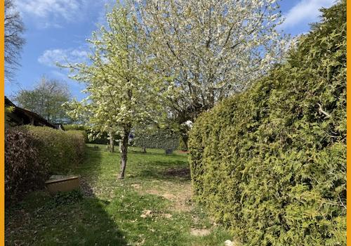 Garten mit Obstbäumen