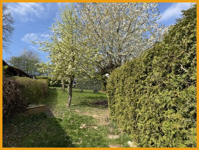 Garten mit Obstbäumen