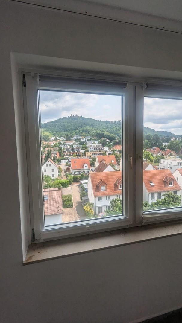 Ausblick auf AuerbacherSchloss
