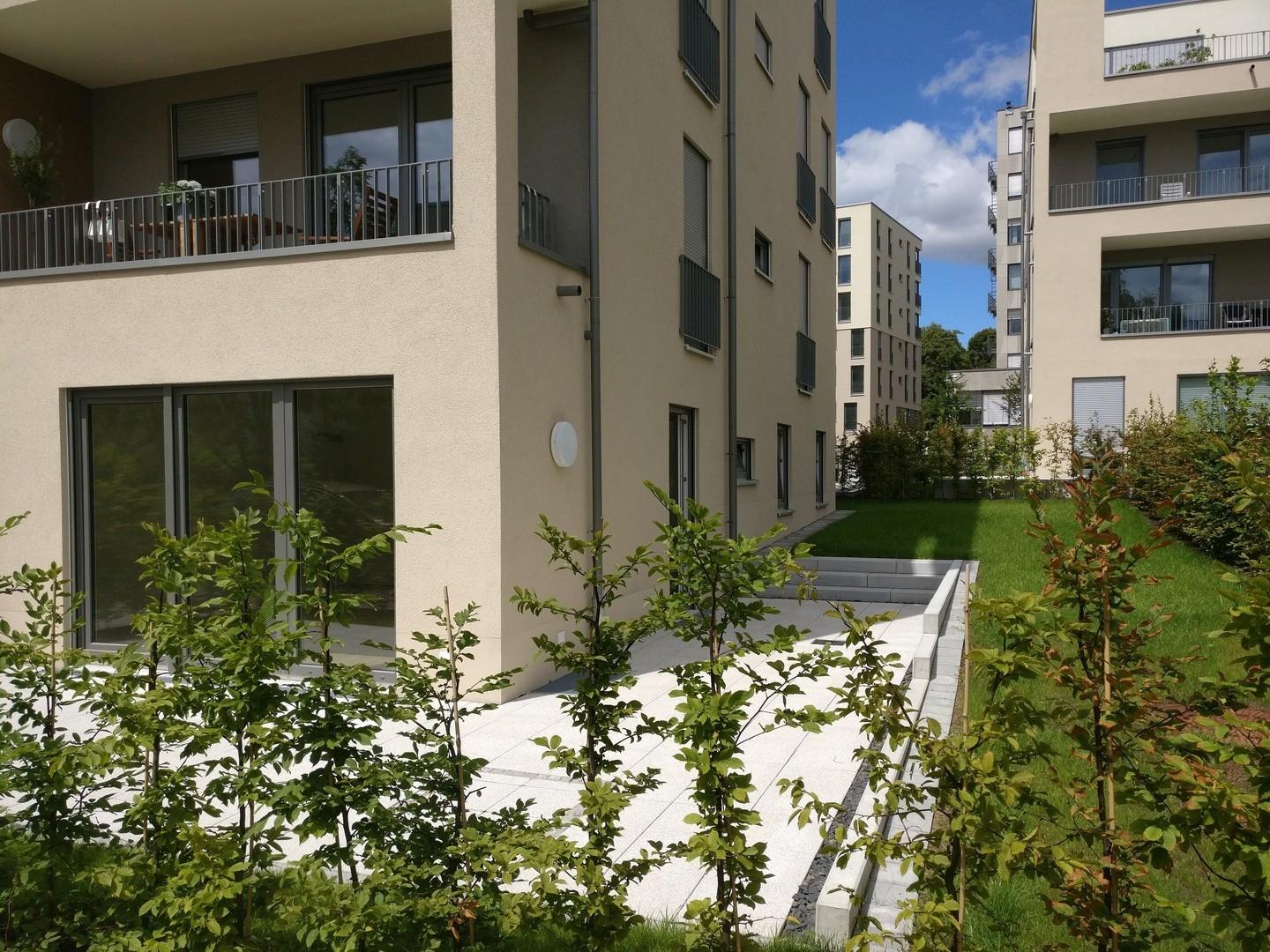 Hecke als Sichtschutz