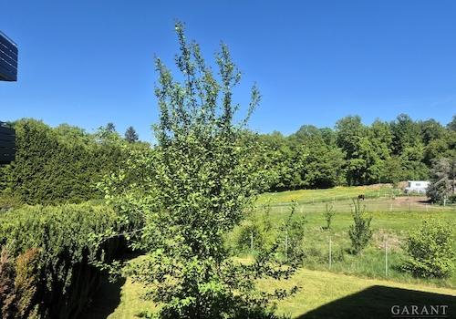 Aussicht Balkon
