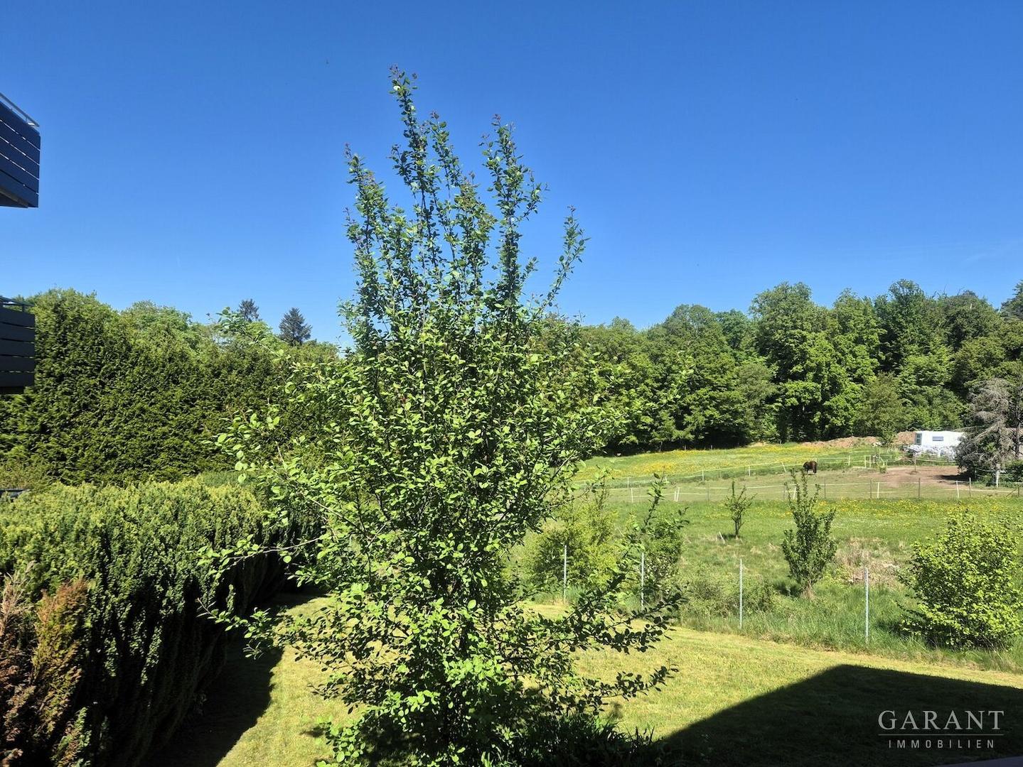 Aussicht Balkon