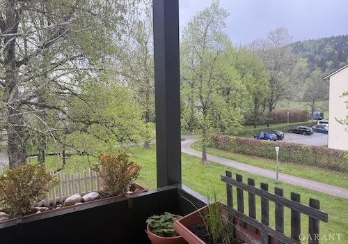 Ausblick