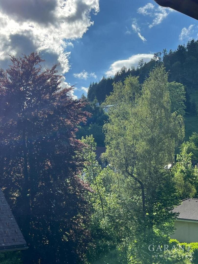 Ausblick