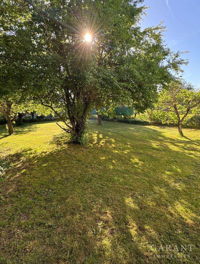 Garten (Seite 1)