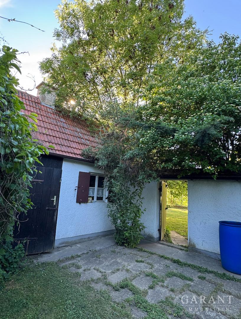 Hinterhof (Seite 1)