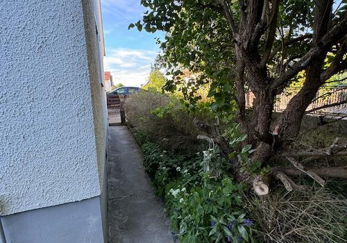 Seitlicher Zugang zum Haus