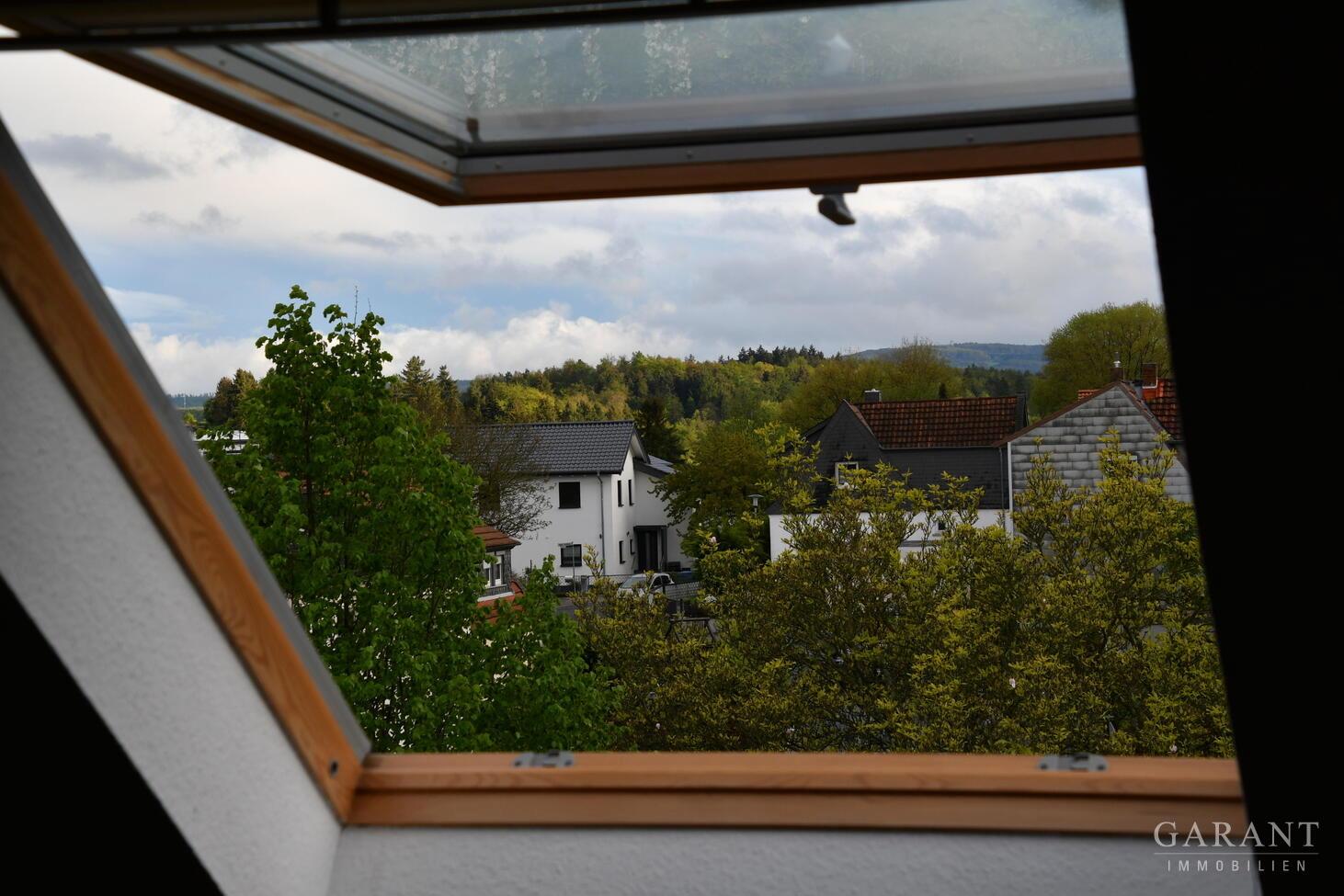 07 Odenwaldblick aus Daschstudio