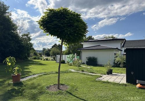 Garten und Seitenansicht