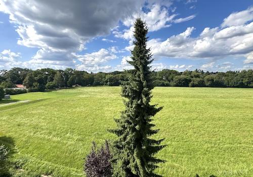 Ausblick / Wohnräume