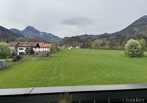 Blick ins Grüne