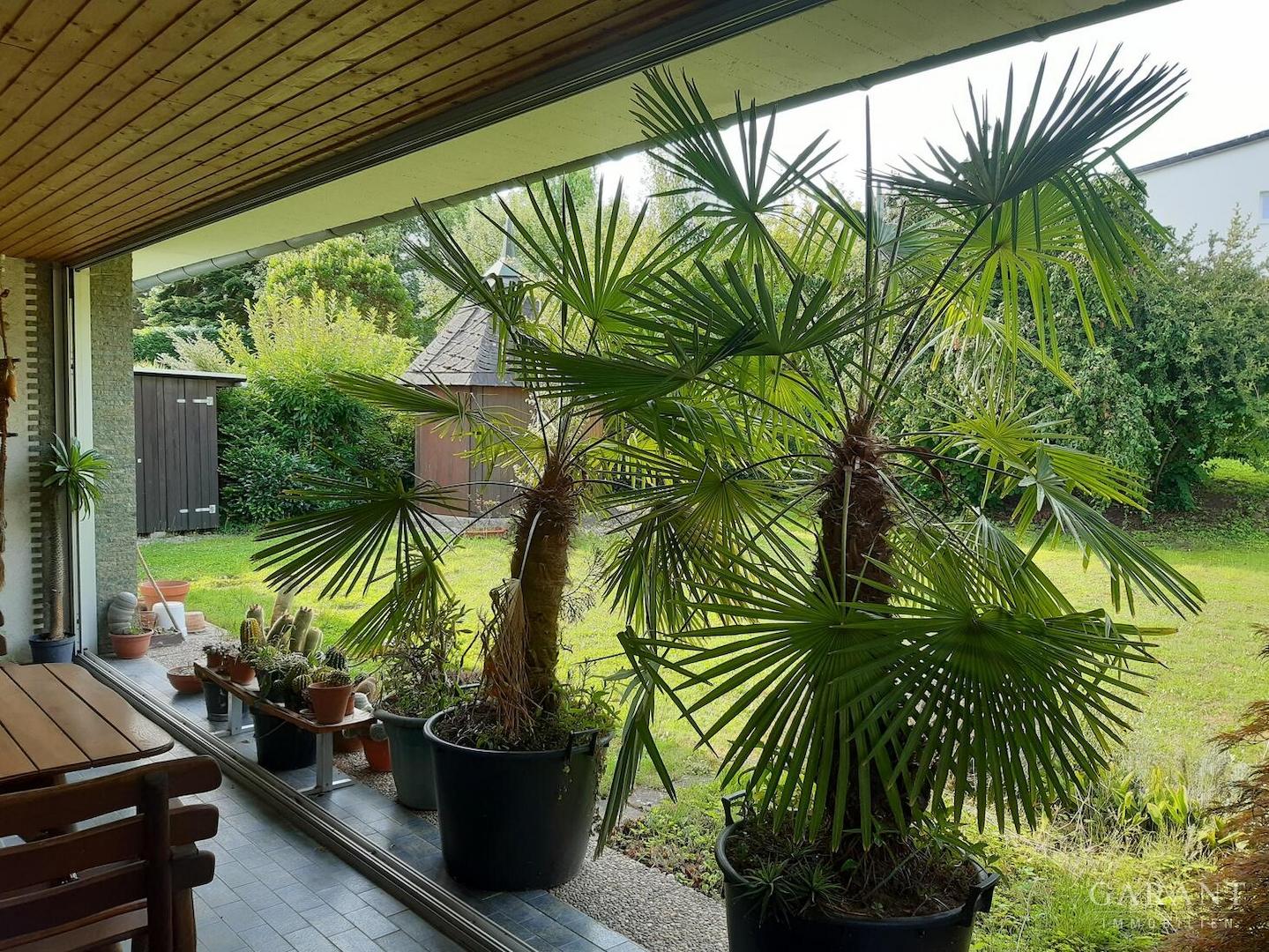 Aussicht Garten