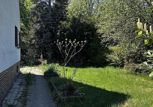 Blick ins Grüne