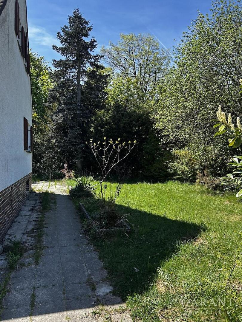 Blick ins Grüne