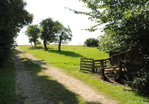 Foto-01 Zufahrt