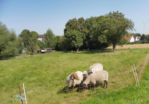 Foto-07 SW-Ansicht
