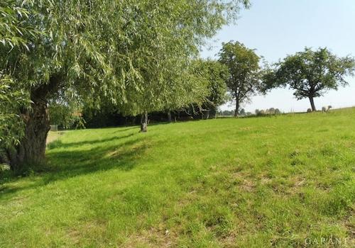 Foto-08 Grenze-Zaschwitzbach