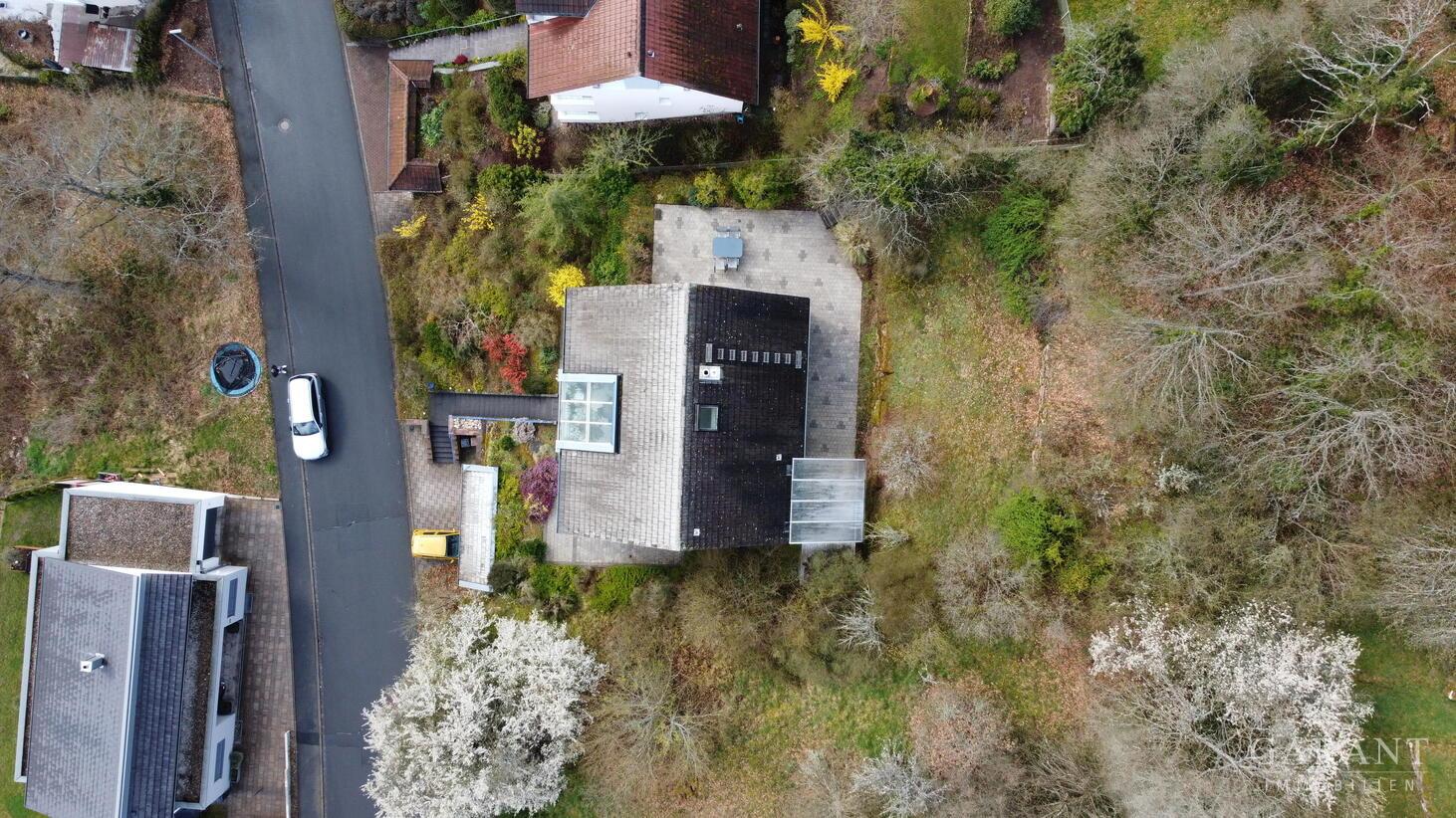 dji fly 20260331 160158 437 1774965800489 photo op