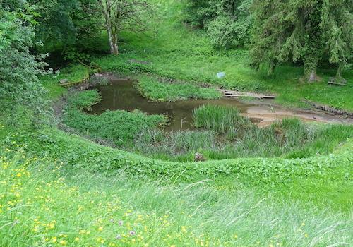 Weiher B3