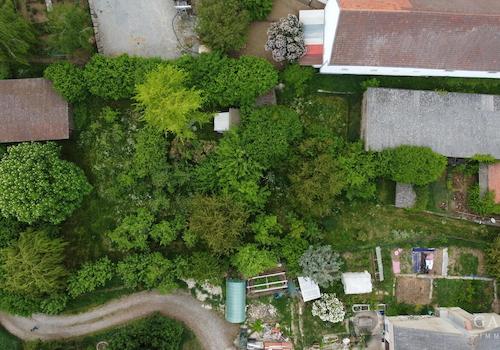 Draufsicht Garten