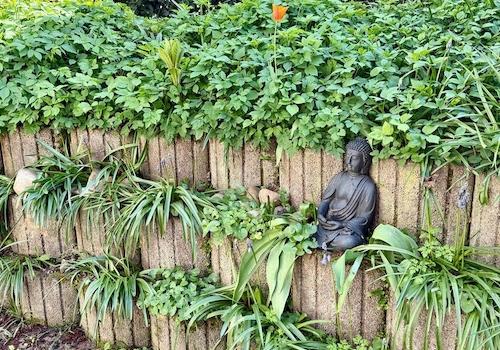 Terrasse Buddha