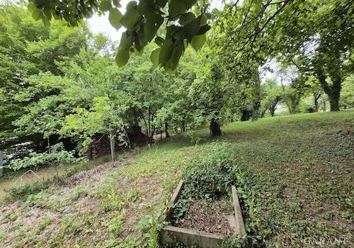 Garten 2