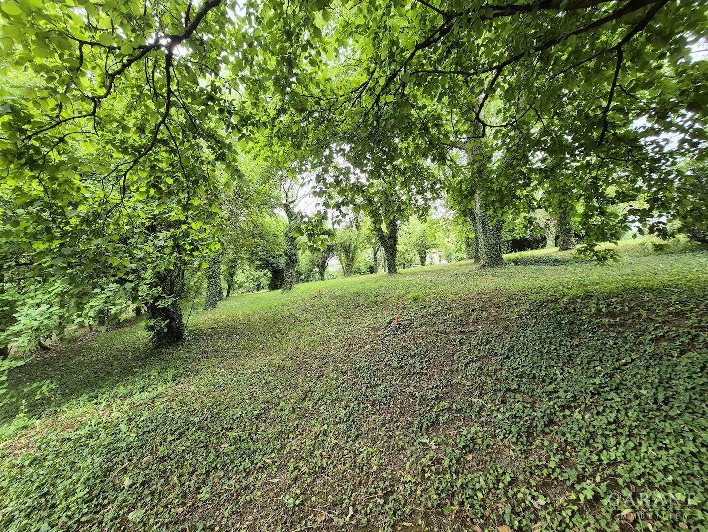 Garten 3