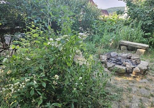 Garten Ausschnitt