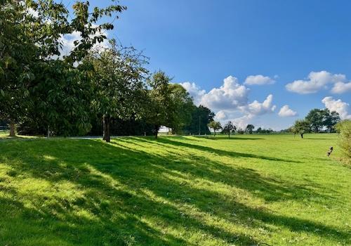 Blick nach Westen