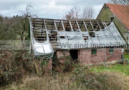 Ehemaliger Schweinestall 3