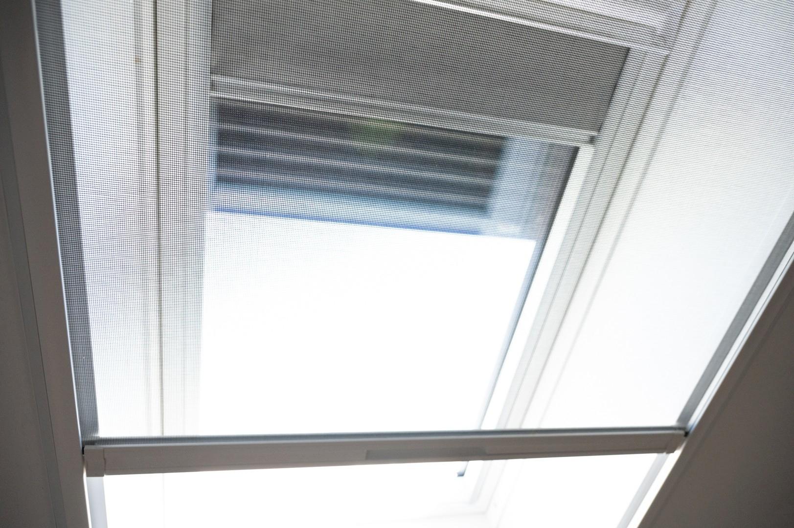 Dachfenster mit Details