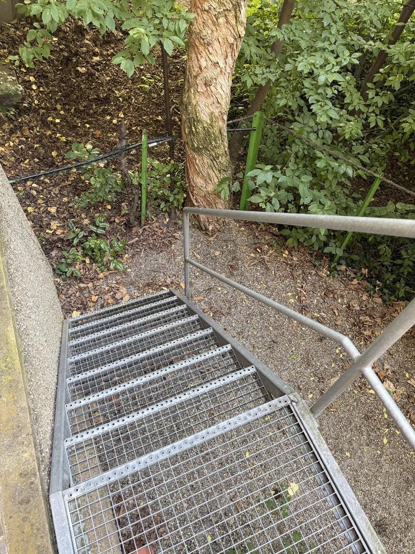 Treppen zum Garten 