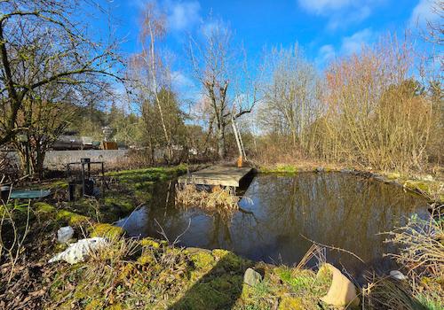 Teich