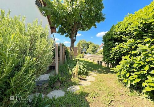 Garten - Zur Straßenseite