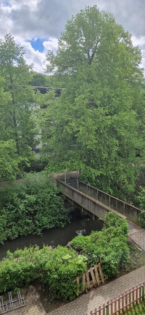 Blick aus Wohnzimmer 2