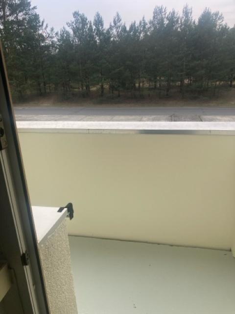 Blick vom Balkon