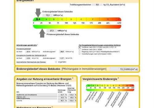 Auszug aus dem E-Ausweis...