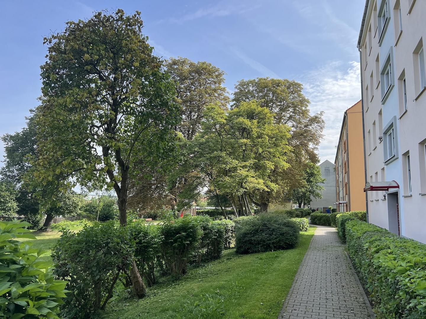 Außenanlagen Innenhof