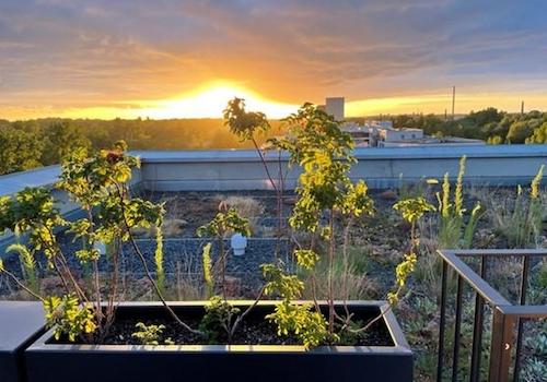 Abendblick - Dachterrasse
