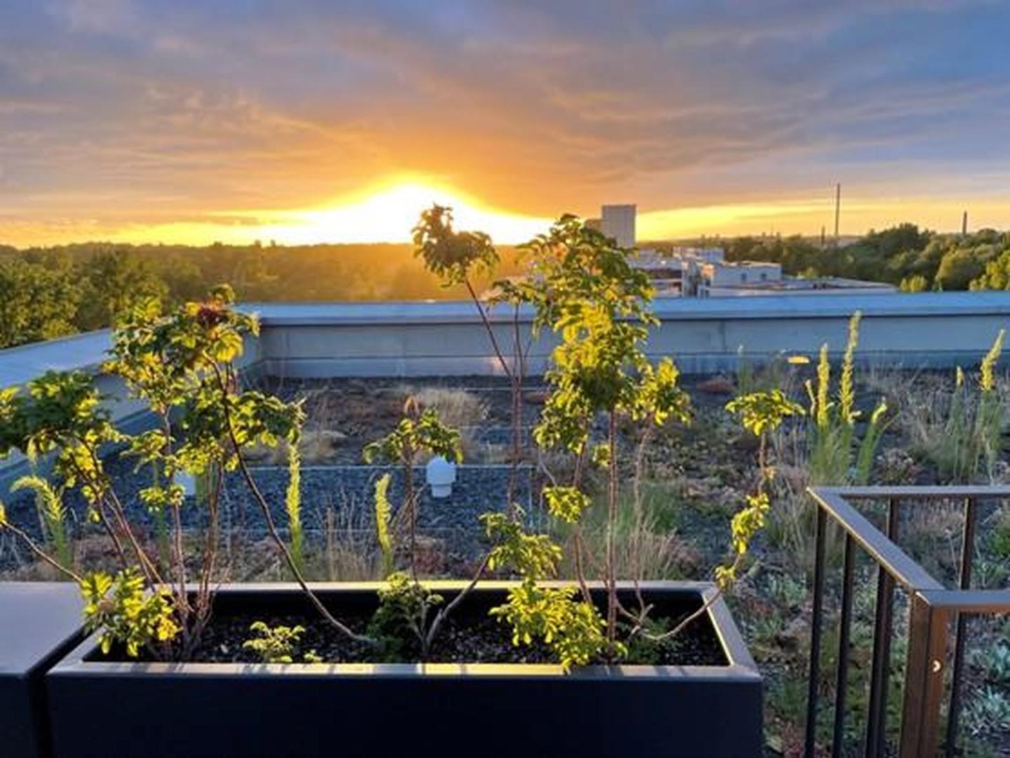 Abendblick - Dachterrasse